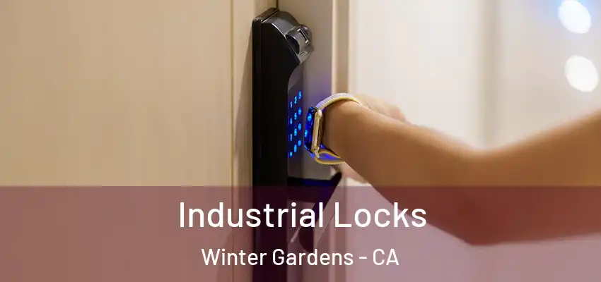  Industrial Locks Winter Gardens - CA